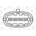 BorgWarner (BERU) Zündspule ZS306