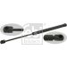 FEBI BILSTEIN 27172 Gasfeder, Koffer-/Laderaum