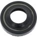 Dichtring 12012530B