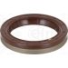 Dichtring 586.676 Dichtring 586.676