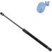 Blue Print Gasfeder, Koffer-/Laderaum ADG05833