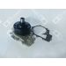 OE Germany Wasserpumpe, Motorkühlung 01 2000 651000