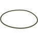 BOSCH Dichtring F 00R 0P0 341