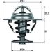 Thermostat, Kühlmittel TX 10 76D Thermostat, Kühlmittel TX 10 76D
