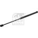 FEBI BILSTEIN 34514 Gasfeder, Motorhaube