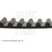 Blue Print Zahnriemen ADT37509