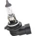 Glühlampe, Nebelscheinwerfer 1 987 302 083 Glühlampe, Nebelscheinwerfer 1 987 302 083
