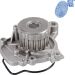 Blue Print Wasserpumpe ADH29140
