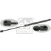 FEBI BILSTEIN 24707 Gasfeder, Koffer-/Laderaum