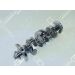 OE Germany Kurbelwelle 02 0300 284200 OE Germany Kurbelwelle 02 0300 284200