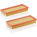 MANN-FILTER C 3170/1-2 Luftfilter