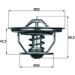 Mahle Thermostat, Kühlmittel BEHR TX 35 79
