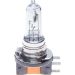 BOSCH Glühlampe Pure Light WS 1 987 302 088