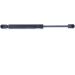 Monroe Gasfeder, Koffer-/Laderaum MONROE MaxLift ML5341