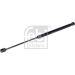 FEBI BILSTEIN 14061 Gasfeder, Koffer-/Laderaum