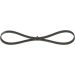 BOSCH Keilrippenriemen 1 987 947 970