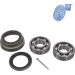 Blue Print Radlagersatz ADD68216