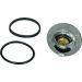 Thermostat, Kühlmittel 67-0090 Thermostat, Kühlmittel 67-0090