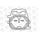 BorgWarner (BERU) Zündspule ZS396
