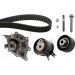 INA Wasserpumpe + Zahnriemensatz 530 0489 30