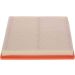 BOSCH F 026 400 217 Luftfilter