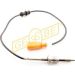 GEBE Sensor, Abgastemperatur 9 8000 1