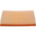 BOSCH F 026 400 173 Luftfilter