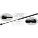 FEBI BILSTEIN 27641 Gasfeder, Koffer-/Laderaum