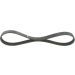 BOSCH Keilrippenriemen Elastic 1 987 946 120 BOSCH Keilrippenriemen Elastic 1 987 946 120