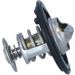 Thermostat, Kühlmittel 725152 Thermostat, Kühlmittel 725152