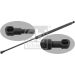 FEBI BILSTEIN 29262 Gasfeder, Koffer-/Laderaum