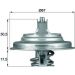 Mahle Thermostat, Kühlmittel BEHR TX 54 83D