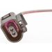 Reparatursatz Kabelbaum, Stecker 2 Polig 2323019 Reparatursatz Kabelbaum, Stecker 2 Polig 2323019