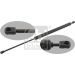 FEBI BILSTEIN 28554 Gasfeder, Koffer-/Laderaum