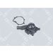 OE Germany Wasserpumpe, Motorkühlung 02 2000 083602