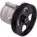 Maxgear Hydraulikpumpe, Lenkung 48-0089