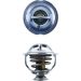 Mahle Thermostat, Kühlmittel BEHR TX 123 95D