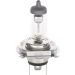 BOSCH Glühlampe, Fernscheinwerfer Plus 50 BL 1 987 301 040