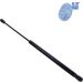 Blue Print Gasfeder, Koffer-/Laderaum ADB115804
