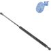 Blue Print Gasfeder, Koffer-/Laderaum ADT35805