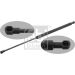 FEBI BILSTEIN 28043 Gasfeder, Koffer-/Laderaum