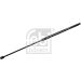 FEBI BILSTEIN 177668 Gasfeder, Koffer-/Laderaum