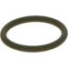 BOSCH Dichtring F 00R J00 534
