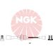 NGK Zündleitungssatz 8647