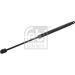 FEBI BILSTEIN 25301 Gasfeder, Motorhaube