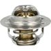 Thermostat, Kühlmittel 725089 Thermostat, Kühlmittel 725089