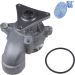 Blue Print Wasserpumpe ADG09153