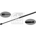 FEBI BILSTEIN 47083 Gasfeder, Motorhaube