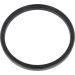 Dichtring 12016896B
