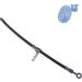 Blue Print Bremsschlauch ADG053132
